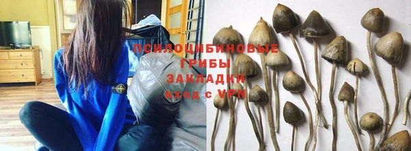 СК Кулебаки